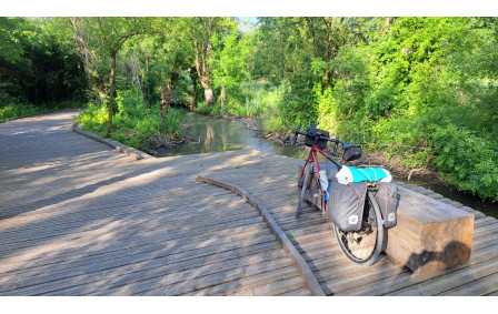 Passerelle dans le marais
